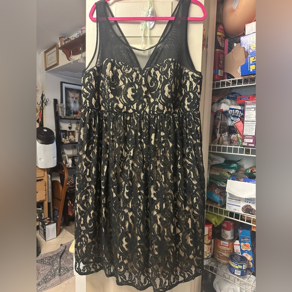 Torrid lace dress NWT